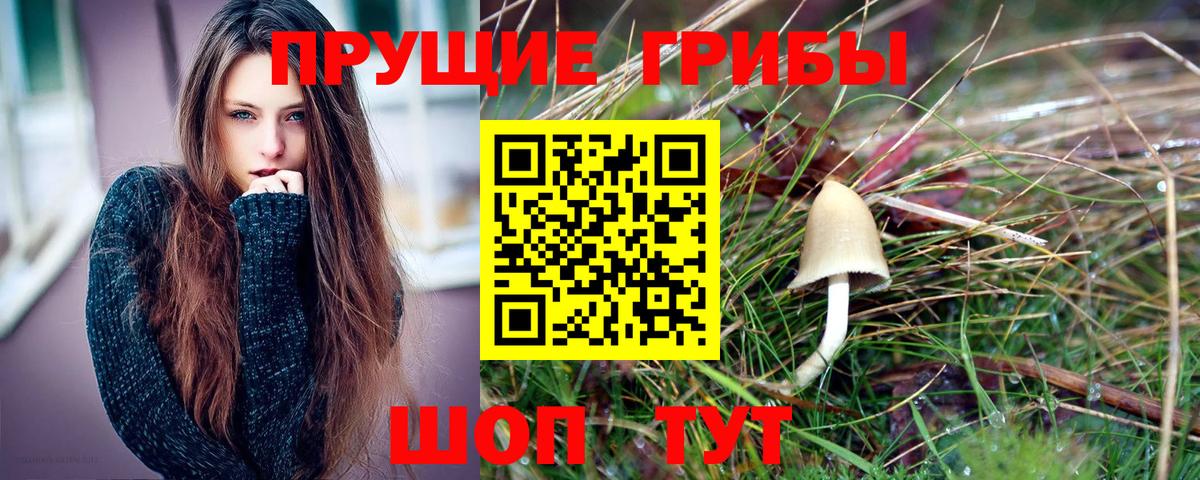 Галлюциногенные грибы Psilocybine cubensis  Вход с VPN  Обнинск 