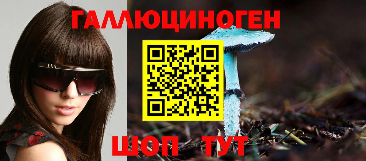 Галлюциногенные грибы мицелий Обнинск